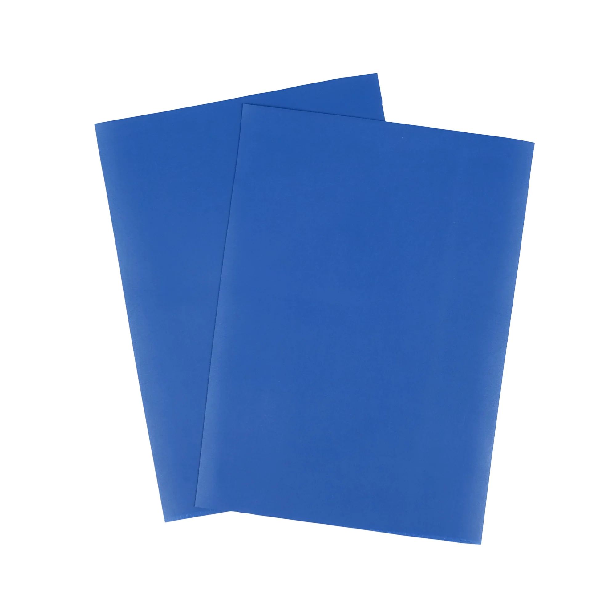 Kaktusleder Blau - Image 3